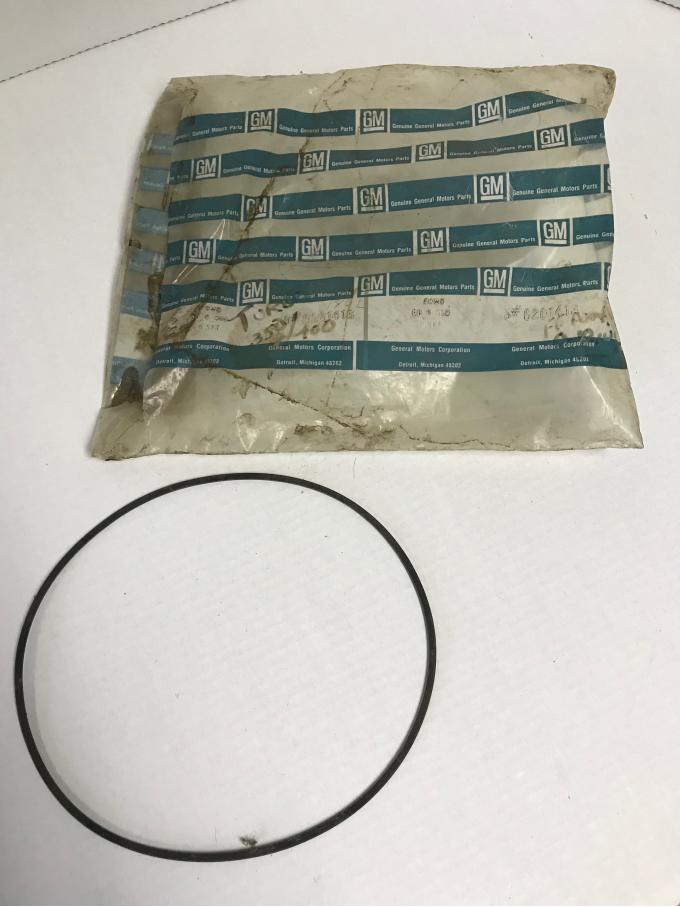 GM Oil Pump Outer Seal, NOS 6261413