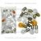 Lectric Limited 1971 Chevrolet Light Bulb Set 49067