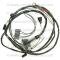 Lectric Limited 1966 Pontiac Engine Harness 09415