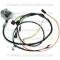Lectric Limited 1969 Chevrolet Engine Harness 17615