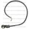 Lectric Limited 1972 Pontiac Battery Cable 40584