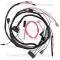 Lectric Limited 1966 Pontiac Engine Harness 39087