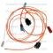Lectric Limited 1968 Chevrolet Courtesy Light Harness 28530