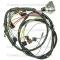 Lectric Limited 1969 Buick Engine Harness 13475