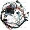 Lectric Limited 1967 Pontiac Dash Harness 10245