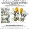 Lectric Limited 1969 Chevrolet Light Bulb Set 49065