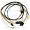 Lectric Limited 1970-1972 Oldsmobile Courtesy Light Harness 15600