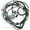 Lectric Limited 1972 Pontiac Engine Harness 37988