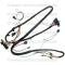 Lectric Limited 1969 Buick Engine Harness 13470