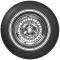 BFGoodrich Triple Whitewall Tire 900-15 62010