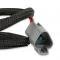 MSD Pressure Sensor 2 Harness 22721
