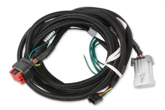 MSD EFI and LS Harness, Pro 600 80002