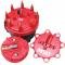 MSD Cap-A-Dapt Kit 8420MSD
