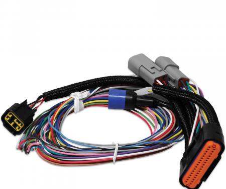 MSD Power Grid Ignition System Replacement Wire Harness 7780
