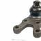 Proforged Ball Joint 101-10282