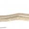 Proforged 1986-1990 Acura Legend Left Outer Tie Rod End 104-10094