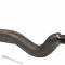 Proforged 1974-1978 Toyota Corona Left Inner Tie Rod End 104-10012