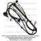 Lectric Limited 1972 Pontiac Engine Harness 16950