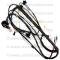 Lectric Limited 1972 Pontiac Engine Harness 16950