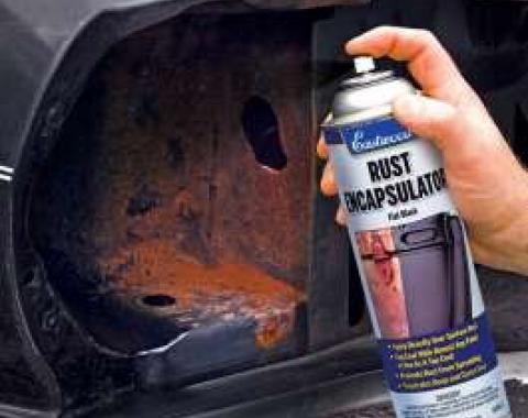 Rust Encapsulator Black Aerosol Paint, 16oz