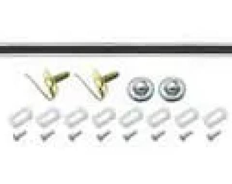 AMD Lower Tailgate Molding w/ Hardware, 68-69 El Camino P-AAR56KB