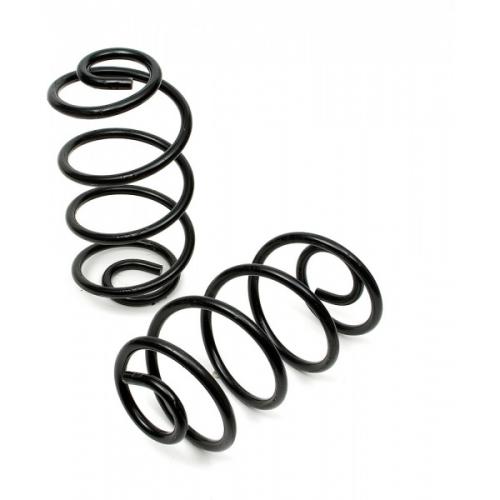 Chevelle Coil Springs, Rear, 19691972