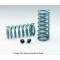 Malibu Hotchkis Performance Front Springs, Small Block Or Big Block With Aluminum Heads, 1978-1983