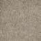 Covercraft DashMat Custom Dash Cover, Beige 0678-01-23