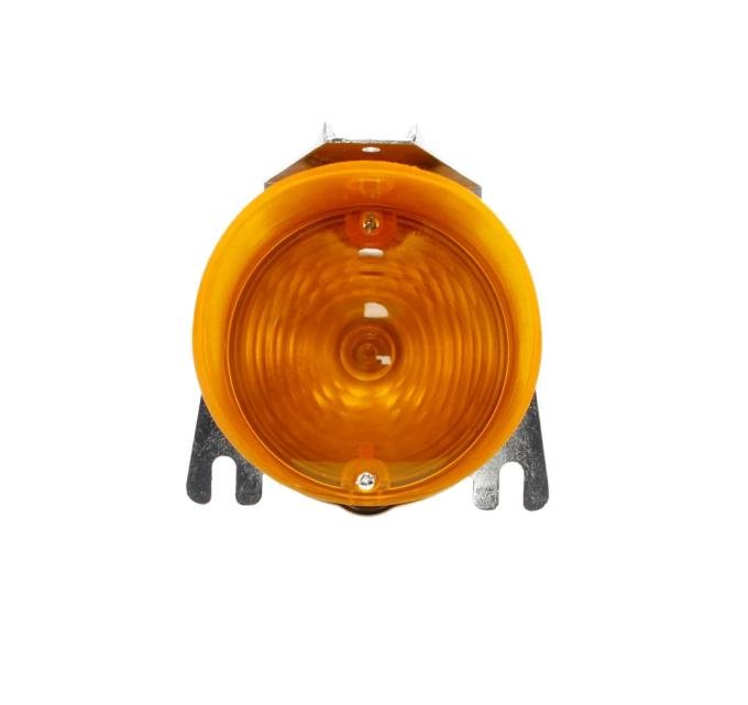 AMD Park Lamp Assembly, LH or RH, 70 El Camino X137-3770
