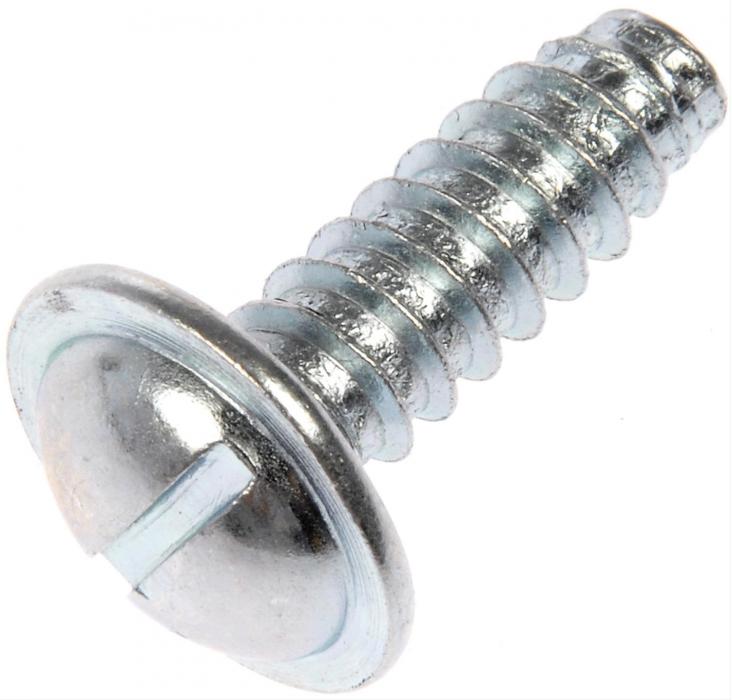 4 Black & Blue Line License Plate Frame Bolts – Motorcycle Custom Tag Fasteners – CCP